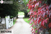 Autumn Lightroom Preset, an Action Add-On by The Bell Sisters (Thumbnail 2 of 7)