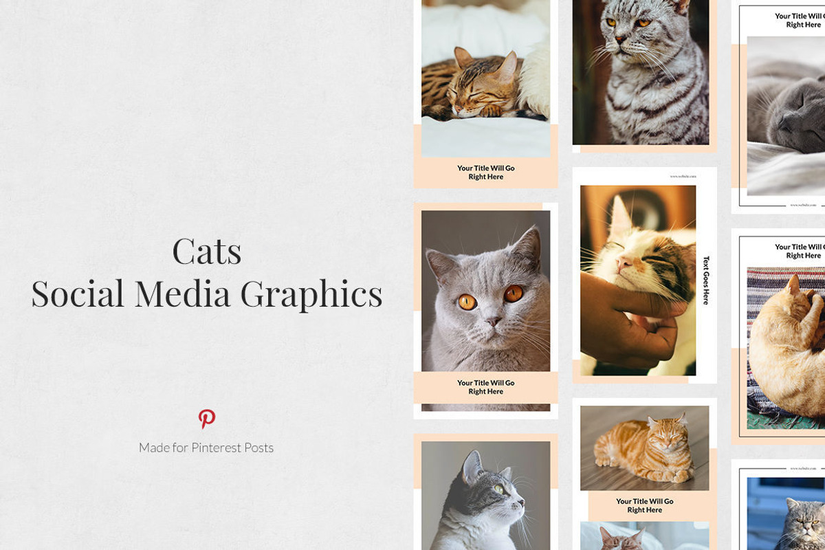 Pinterest Posts Bundle, a Social Media Template by Social Corner Graphics (Photo 21 of 37)