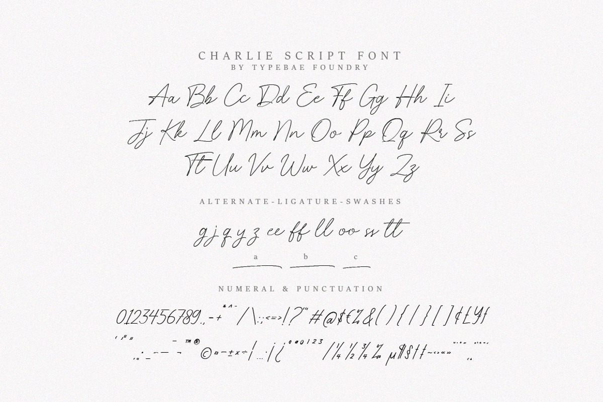 Charlie Script Font, a Script Font by Typebae (Photo 8 of 10)