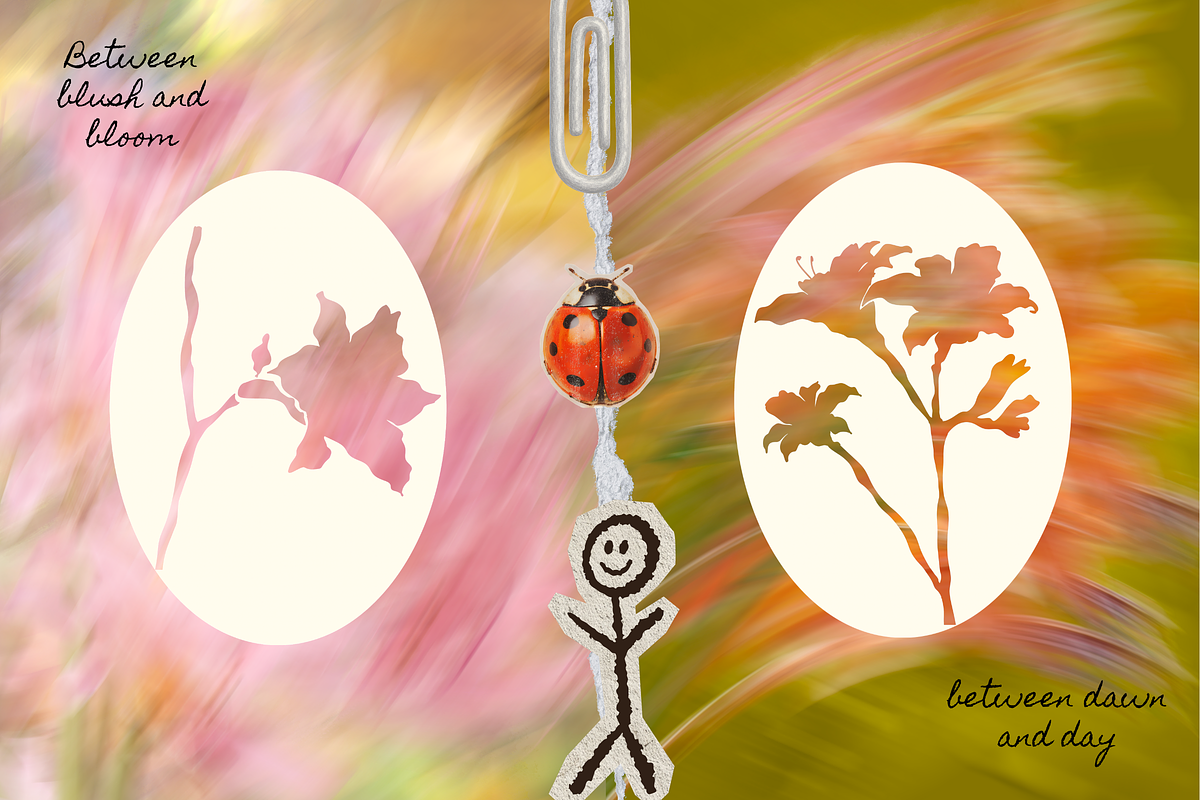 +38 Petal Haze Dreamy Blurred Flower, a Background Graphic by The Journey Atelier (Photo 7 of 17)
