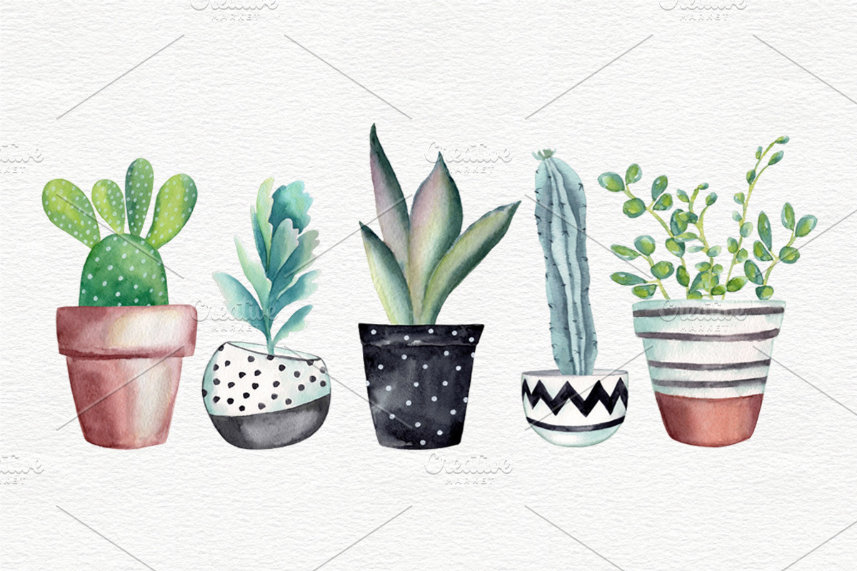 Cactus clipart with pots, a Decorative Illustration by Colibri Watercolor (Photo 2 of 5)