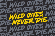 Rogue Legends - Brush Font, a Handwritten Font by Andrey Sharonov (Thumbnail 20 of 21)