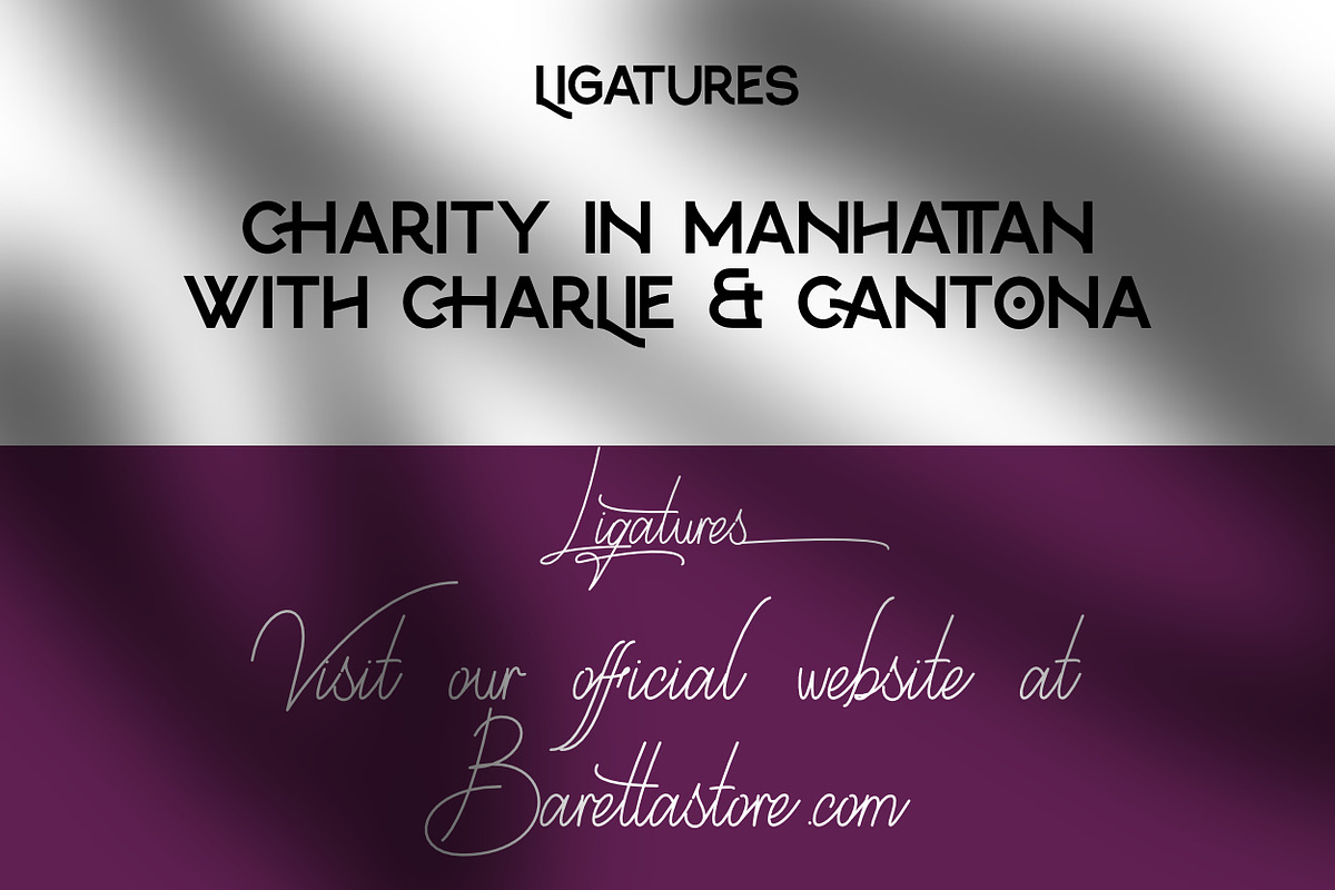 Berlin Modern Elegant Luxury font preview 8