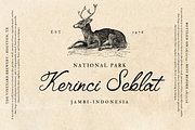 Amantta Script Font, a Script Font by BumbleGraph Studio (Thumbnail 9 of 10)