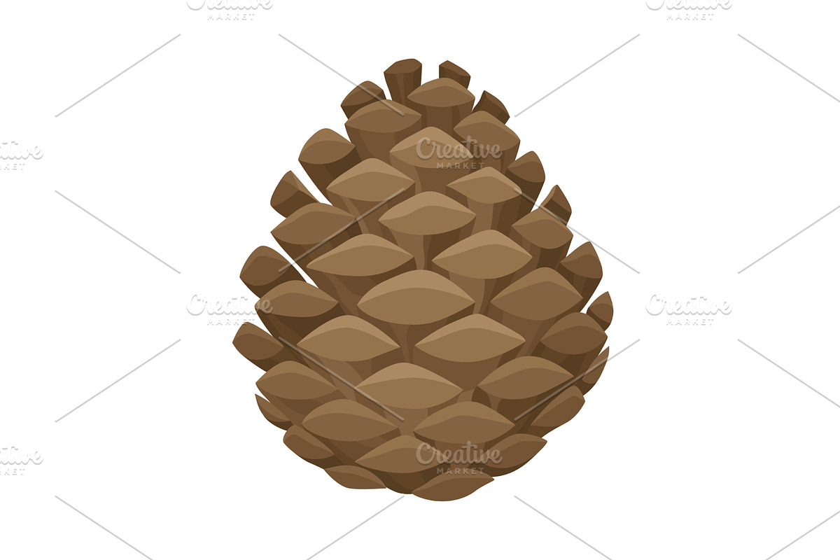 Fir or pine cone. Nature decoration, an Object Illustration by the8monkey