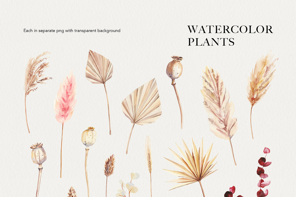 Dry boho grass and herbs watercolor, a Decorative Illustration by Volha Studio (Photo 7 of 13)