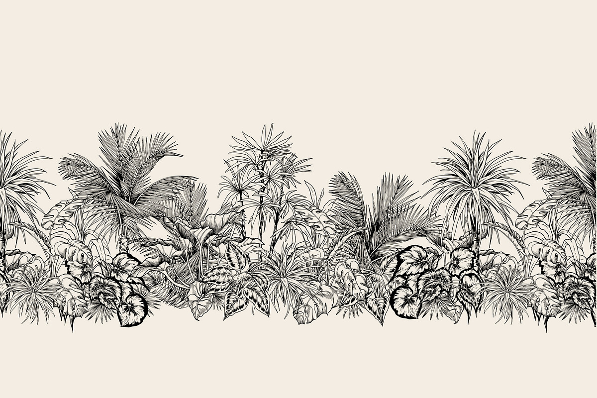 Tropical black& white plants, a Decorative Illustration by Jeanna Draw (Photo 3 of 19)