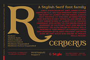 Cerberus - Serif font family, a Serif Font by Artistic & Unique (Thumbnail 9 of 15)