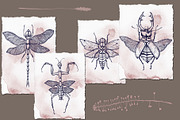 Wildflower and Insect collection, an Illustration by Hand drawn Boutique (Thumbnail 2 of 7)