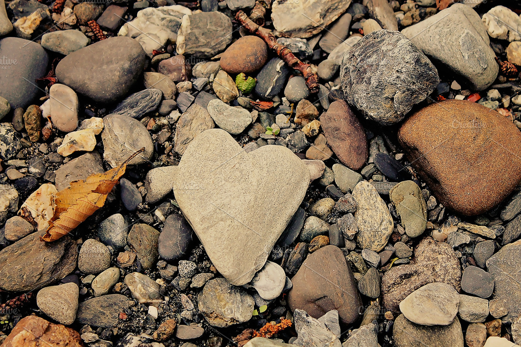 My Heart Is In The Rocks