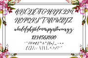 Austina Script, a Script Font by Zane Studio (Thumbnail 9 of 11)