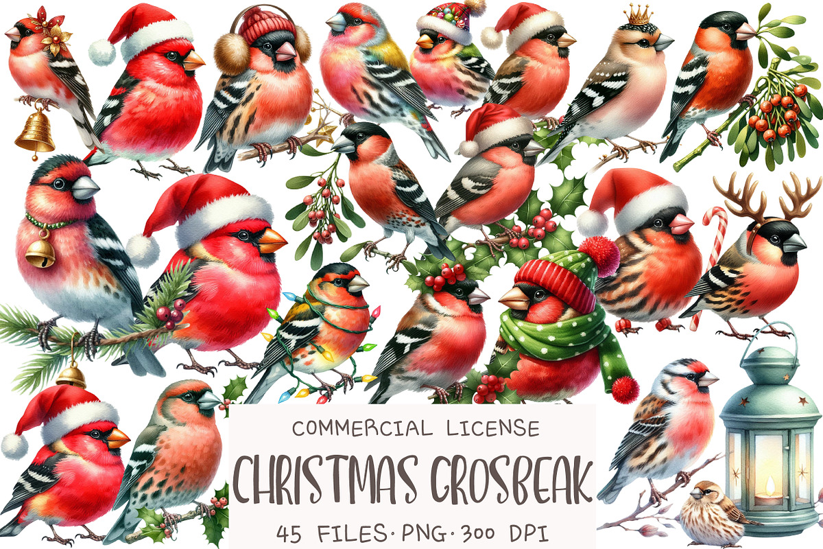 Christmas Grosbeak Birds Clipart, an Illustration by OK Design (Photo 1 of 5)