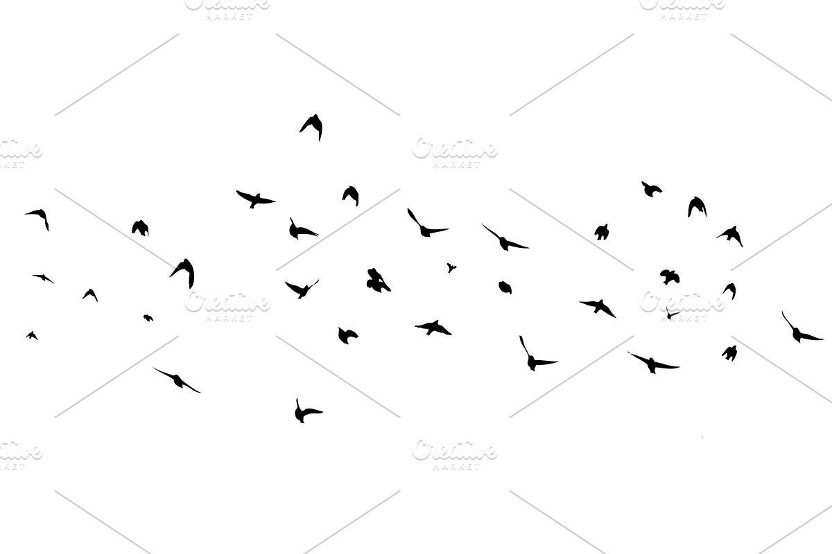 Flying birds silhouette flock. hand, an Animal Illustration by Nenahliadava Design