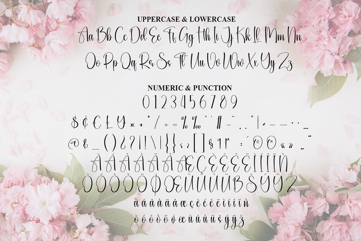 Bouquet | Script Font, a Handwritten Font by Scratchones (Photo 7 of 9)