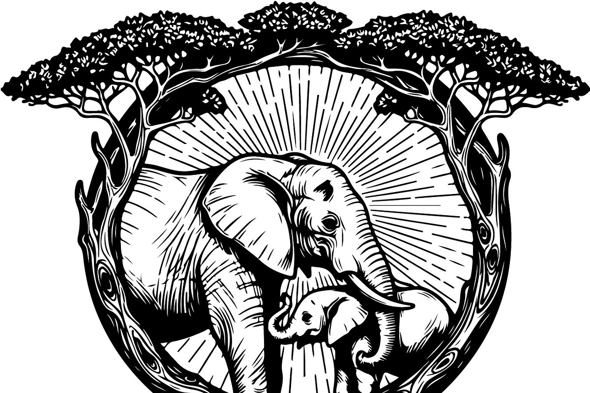Wild Elephant Silhouette Set, an Illustration by jahid234 (Photo 4 of 21)