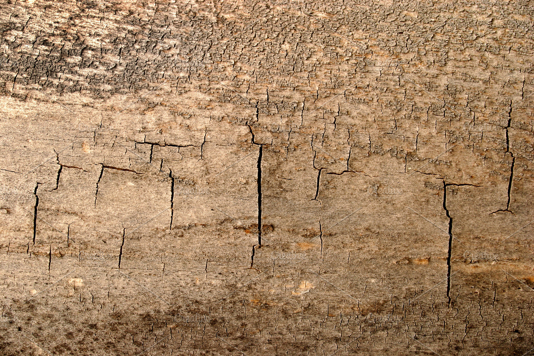 Grunge texture of cracked wood, a Photo by saiko3p