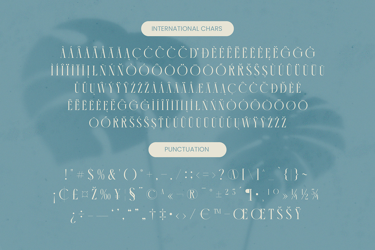 Comela Elegant Ligature Serif, a Serif Font by timelesstype.co (Photo 19 of 20)