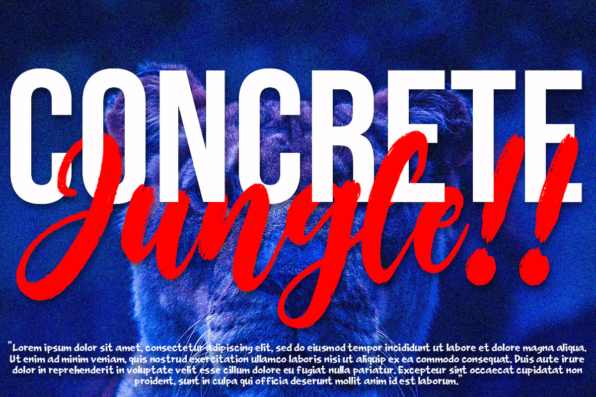 Badger Criminal, a Handwritten Font by Struggle Studio (Photo 5 of 10)