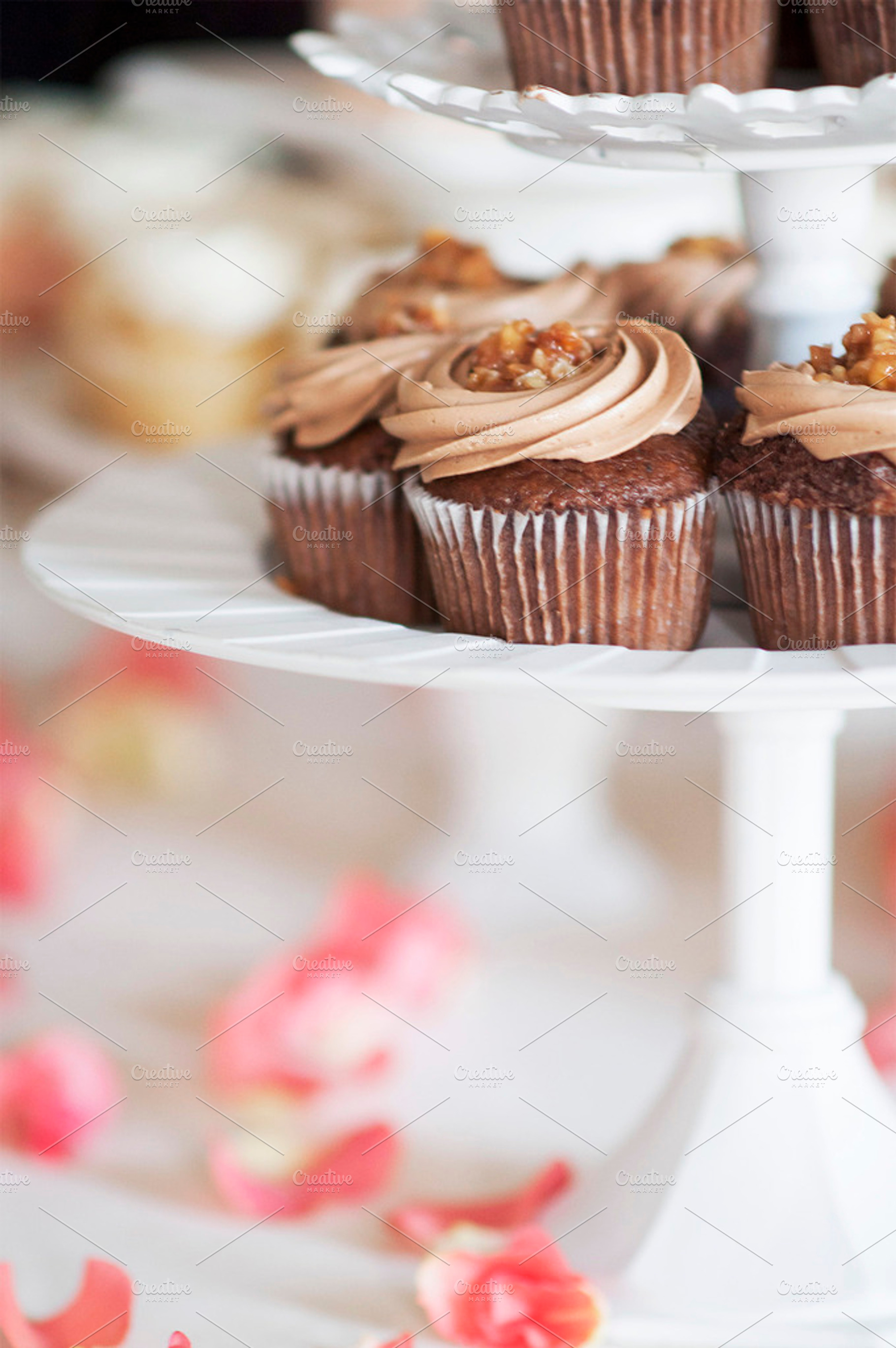 Elegant Cupcake, a Food & Drink Photo by Foxtail Pine Studio