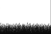 Farm Silhouette Wheat Clipart Set, an Illustration by BIPLOB EXPERT (Thumbnail 5 of 9)