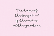 Queen Bee Script Font, a Script Font by Beck McCormick (Thumbnail 4 of 10)