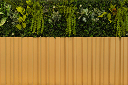 Natural wood slats wall or lath line arrange with tree. Flooring, a Photo by Tampatra