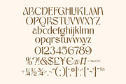 Sirelia – Modern Elegant Serif Typef, a Font by kangfont Studio (Thumbnail 3 of 9)
