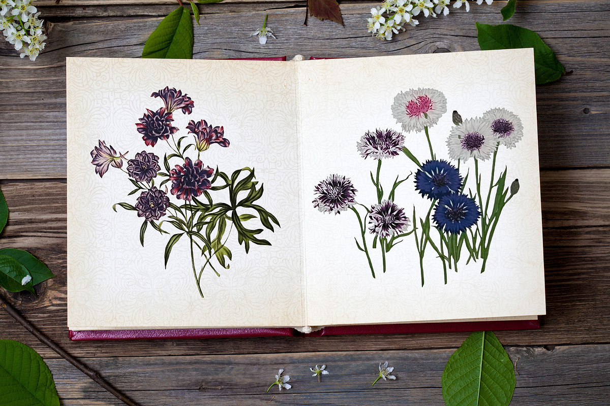 Whispers of Lavender Antique Clipart, a Decorative Illustration by Patterns for Dessert (Photo 2 of 6)