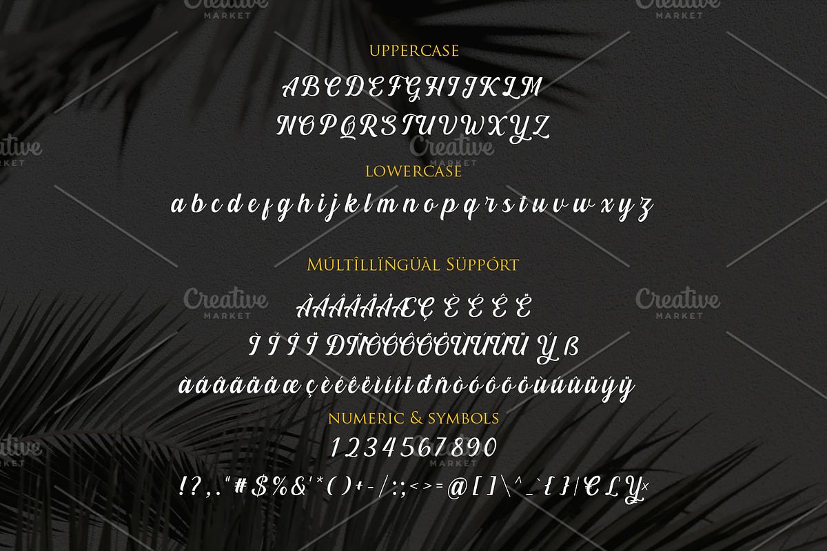 Summer Delight Font, a Script Font by R4DS (Photo 2 of 9)
