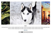 Ultimate Responsive Image Slider Pro, a Plug-in Add-On by Weblizar Themes & Plugin (Thumbnail 2 of 7)