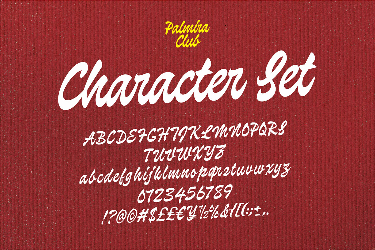 Palmira Club A Playful Retro Script, a Handwritten Font by Four Lines Std. (Photo 10 of 12)