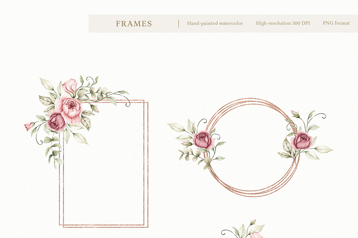 Watercolor Blush Roses Floral Set, a Decorative Illustration by Carol Lozove (Photo 13 of 50)