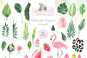 Watercolor Tropical Collection