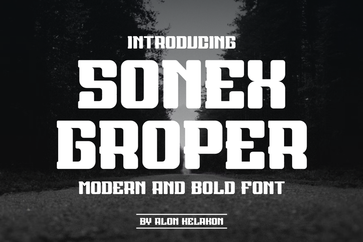 Sonex Groper, a Serif Font by alon kelakon (Photo 1 of 6)