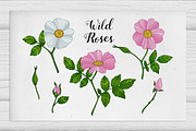 Wild roses, a Decorative Illustration by Tabita's shop (Thumbnail 1 of 4)
