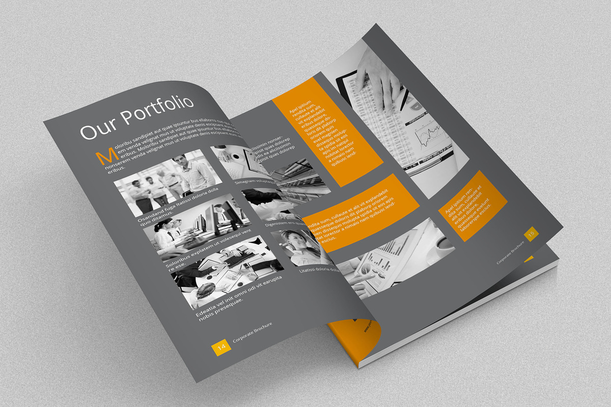 A4/Letter Business Brochure, a Brochure Template by feydesign (Photo 8 of 18)