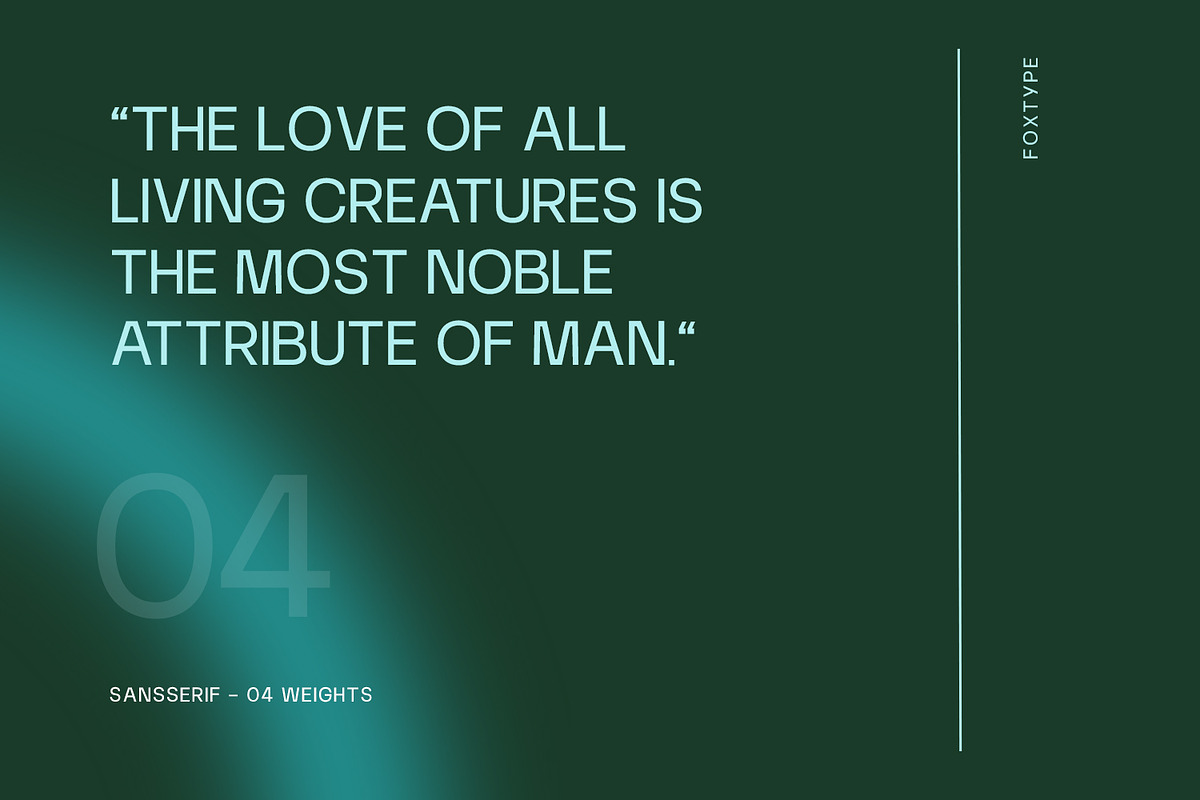 Nortica Display Typeface, a Sans Serif Font by Foxtype (Photo 2 of 8)