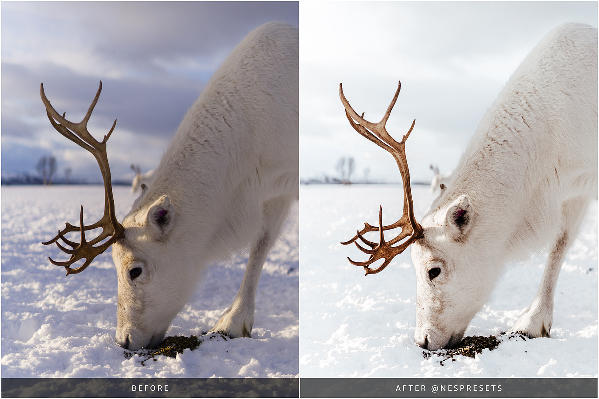 WINTER BRIGHT LIGHTROOM PRESETS, an Action Add-On by Nes Design Co (Photo 4 of 10)