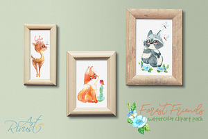 Woodland Forest Watercolor Animals