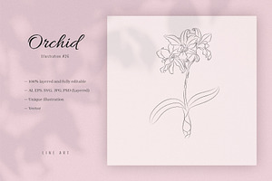 Orchid #26. Line Art Illustration, a Decorative Illustration by lapi-olesya