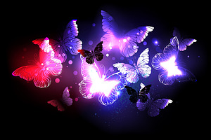 Swarm Of Night Butterflies