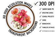 Spring Alstroemeria Flowers Clipart, an Illustration by Craft Nest (Thumbnail 2 of 11)