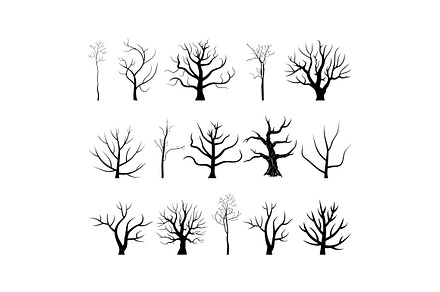 Tree branch4