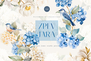 Watercolor blue hydrangea clipart