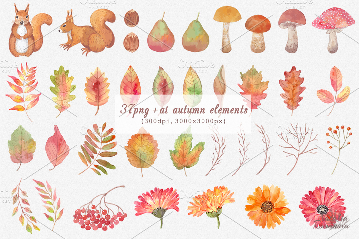 Autumn watercolor collection, an Illustration by BrushArtDesigns (Photo 2 of 9)