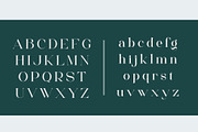 Gares - Elegant Serif Font, a Serif Font by Aqeel_Art (Thumbnail 9 of 12)