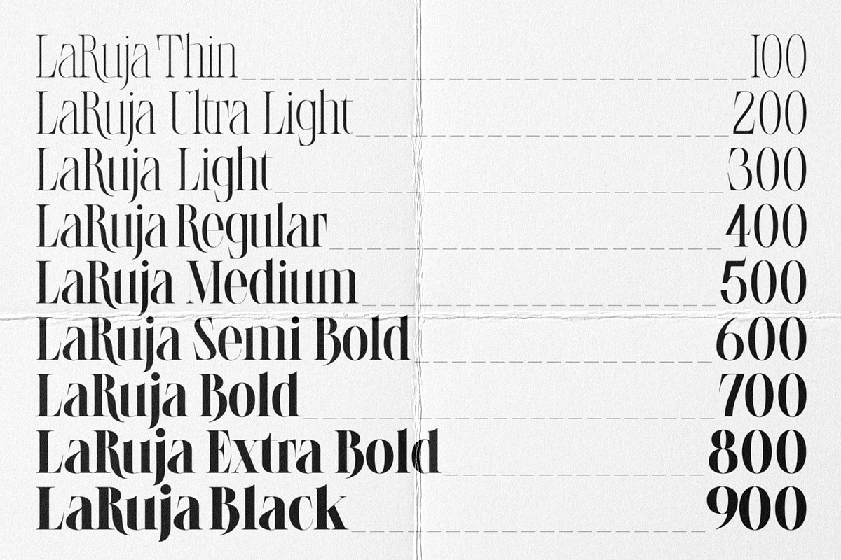 LaRuja - Modern Serif Typeface, a Serif Font by SilverStag Type Foundry (Photo 8 of 20)