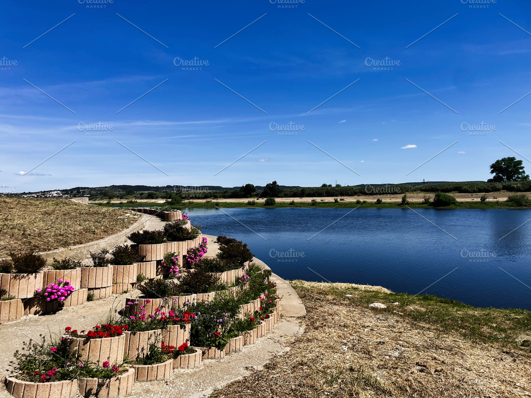 Terraced gardens by a scenic river under a clear blue sky, a Photo by AS photostudio