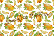 Botanical Style Mango Illustration, a Food Illustration by Milla_Zelenyuk_art (Thumbnail 5 of 5)