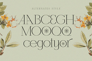 Losta Riecha - Stylish Serif